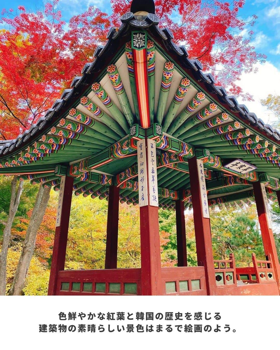 アシアナ航空日本地域公式アカウントさんのインスタグラム写真 - (アシアナ航空日本地域公式アカウントInstagram)「秋の紅葉が素敵な昌徳宮  ┈┈┈┈┈┈┈┈┈┈ 秋の紅葉にオススメの昌徳宮🍁  特に紅葉の時期は秘苑（後苑）エリアがオススメ！ ガイドツアーで見学することができます。  紅葉の美しさに触れてみませんか？  📸Thanks @rainbonbon  ┈┈┈┈┈┈┈┈┈┈   #アシアナ航空 #アシアナ #ASIANA #asianaair #asianaairline #OZ #Flyasiana #韓国 #korea #韓国旅行 #✈️ #昌徳宮 #チャンドックン #後苑 #秘苑 #紅葉 #韓国紅葉」9月2日 19時00分 - asiana.jp_official