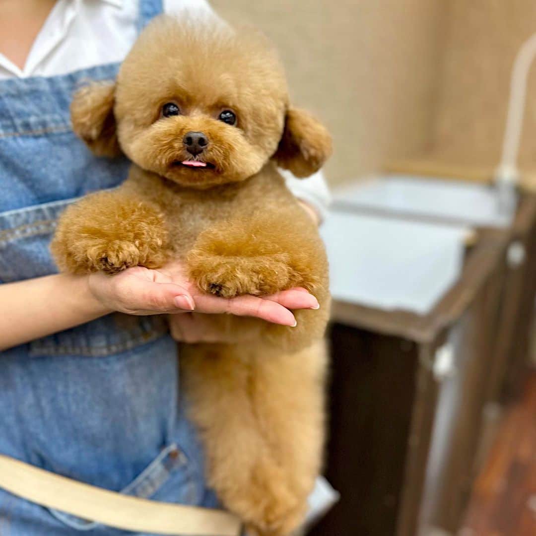 しらす先輩のインスタグラム