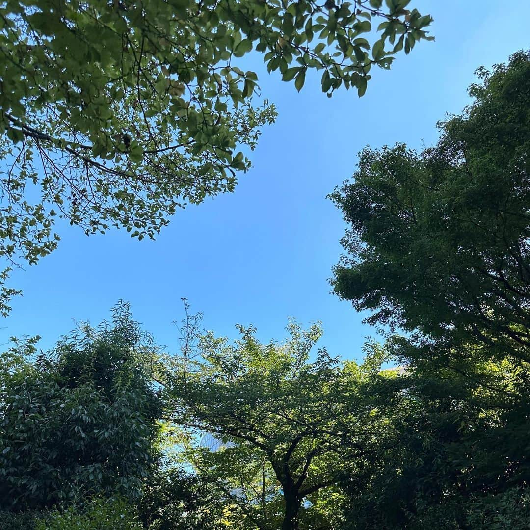 山本愛梨さんのインスタグラム写真 - (山本愛梨Instagram)「夏」9月2日 18時56分 - y_____aaairiii