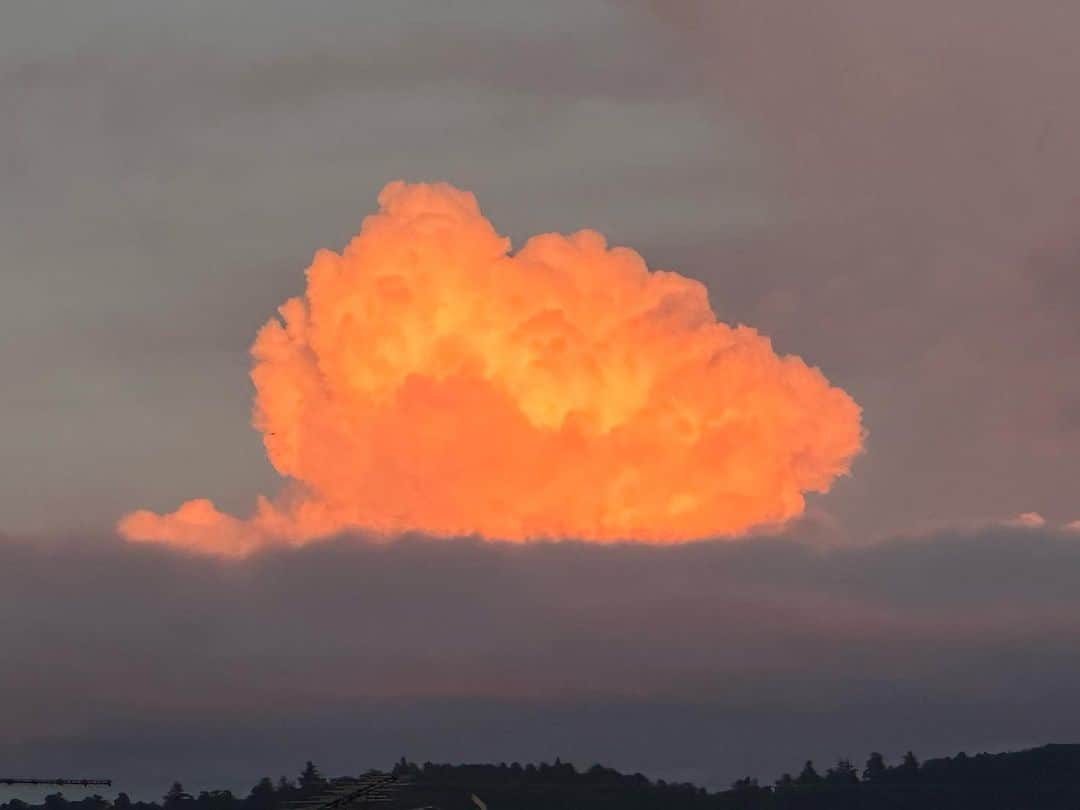 河瀬直美のインスタグラム：「なんやこれ シュウクリームみたいな 東の空の雲  ほんの一瞬の出逢い  で、西の空 ヤバいです 紅すぎ  多分ね 今日はトムが沖縄で パリの切符を手に入れる^_^  毎回 試合が終わるたびに ひとことメッセージするの そしたら、翌朝には返事が来てる。  オリンピック 勝手ながら一緒に戦ったって想ってる。ぐっと堪えて沖縄には行かなかったけど…パリには行くね🏀  そー言えば オリンピックの最中、仲良くしてくれた増田明美さんからさっきメッセージがきてた。  オリンピック公式映画 凄く良かったって。100年後にも遺る作品だって。なんだかここにきてタイムカプセルみたいに届けられる声。ルーマニアからの流れが頭上に巡ってきてるのかなぁ  目先のことや ピンポイントの視点ばかりに気を取られて、大きな局面からモノを見ていないと、うっかり足元救われちゃうね。  潮目が変わってきた…って ふっと感じる。秋虫の声が佐保の走川に響いてる。  今日も暮れる そろそろ書き上がる。  新作 第1稿 まだ、もう少し…だけどね  What is this a cloud in the eastern sky like a cream puff  Just a momentary encounter  and, the western sky was crazy so crimson  Probably Tom will get his ticket for Paris in Okinawa today ^_^  Every time when a game finishes I send him him a short message and the following morning, I get a reply.  The Olympics Personally, I think of it as if we fought together. I wasn't able to make it to Okinawa...but I'll go to Paris. 🏀  That reminds me I received a message from Akemi Masuda, who I got to know well during the Olympics.  She said the official film of the Olympics was really great. She said it's a work that will still be here 100 years from now. It somehow feels like the voice that came here from a time capsule. Maybe the flow from Romania has come around to the sky high above.  Only paying attention to things right in front of us or only focusing on a pinpoint, and not seeing the bigger situation, we'll accidently get tripped up.  The changing of the tide...as they say Just feeling. The cries of autumn bugs reverberating along the Saho River.  Today too will darken. I will finish writing soon.  A new work the first draft almost ready, coming soon...  #吉祥雲  #紅 #トムホーバス  #W杯 #沖縄 #佐保川  #crimson  #tomhovasse  #okinawa  #sahoriver」