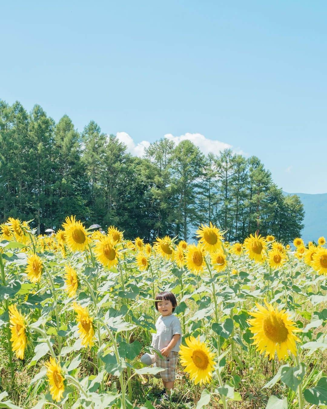 sorayuchiのインスタグラム