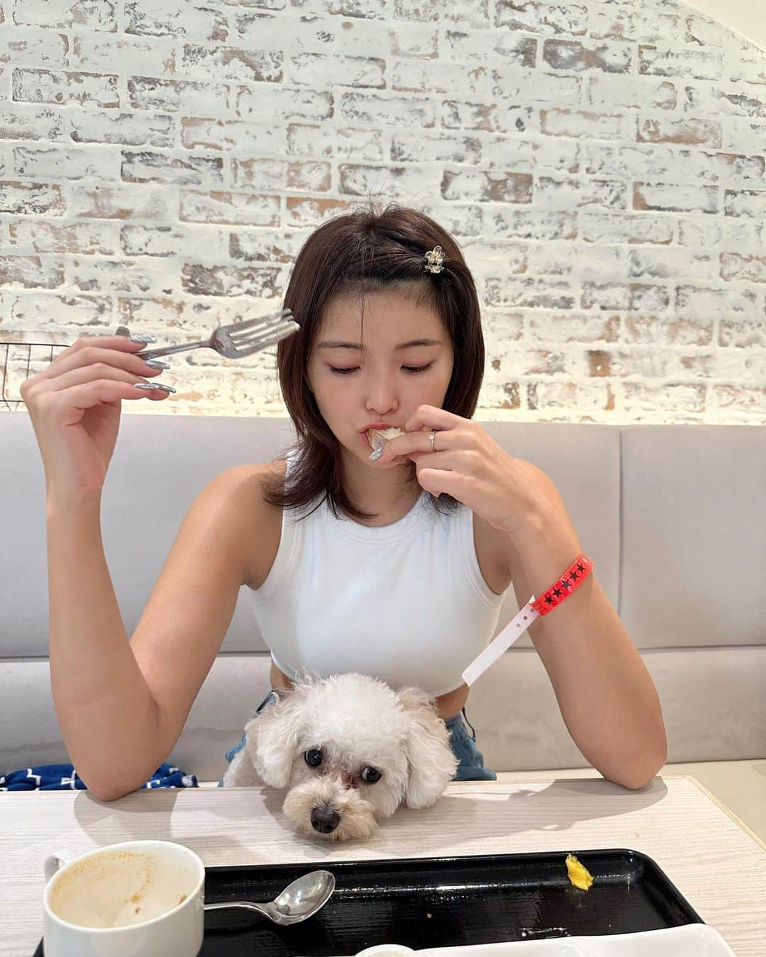 ききまるさんのインスタグラム写真 - (ききまるInstagram)「わんこと朝食ビュッフェ☀️🍽️🐶 . . .  . . ----------------------------  💠インスタ歴10年現在フォロワー45万人 💠猫と犬と東京のど真ん中で暮らす26歳 💠事務所無所属(フリーランス) 💠TikTok & Twitter & Therdsも 💠#旅行　#サウナ　#ダイエット  ㊙️サブスクリクションスタートしました！  →  毎日限定投稿中🙌💗登録よろしくねん  フォロー、保存、コメント嬉しいです✨       (((( 　@kikigram_97 ))))   -----------------------------  #わんことお出かけ #わんこと旅行 #わんこと一緒 #わんことごはん　#わんこと泊まれる宿 #ドギーズアイランド #ドギーズアイランド小谷流 #わんことドライブ」9月2日 19時28分 - kikigram_97