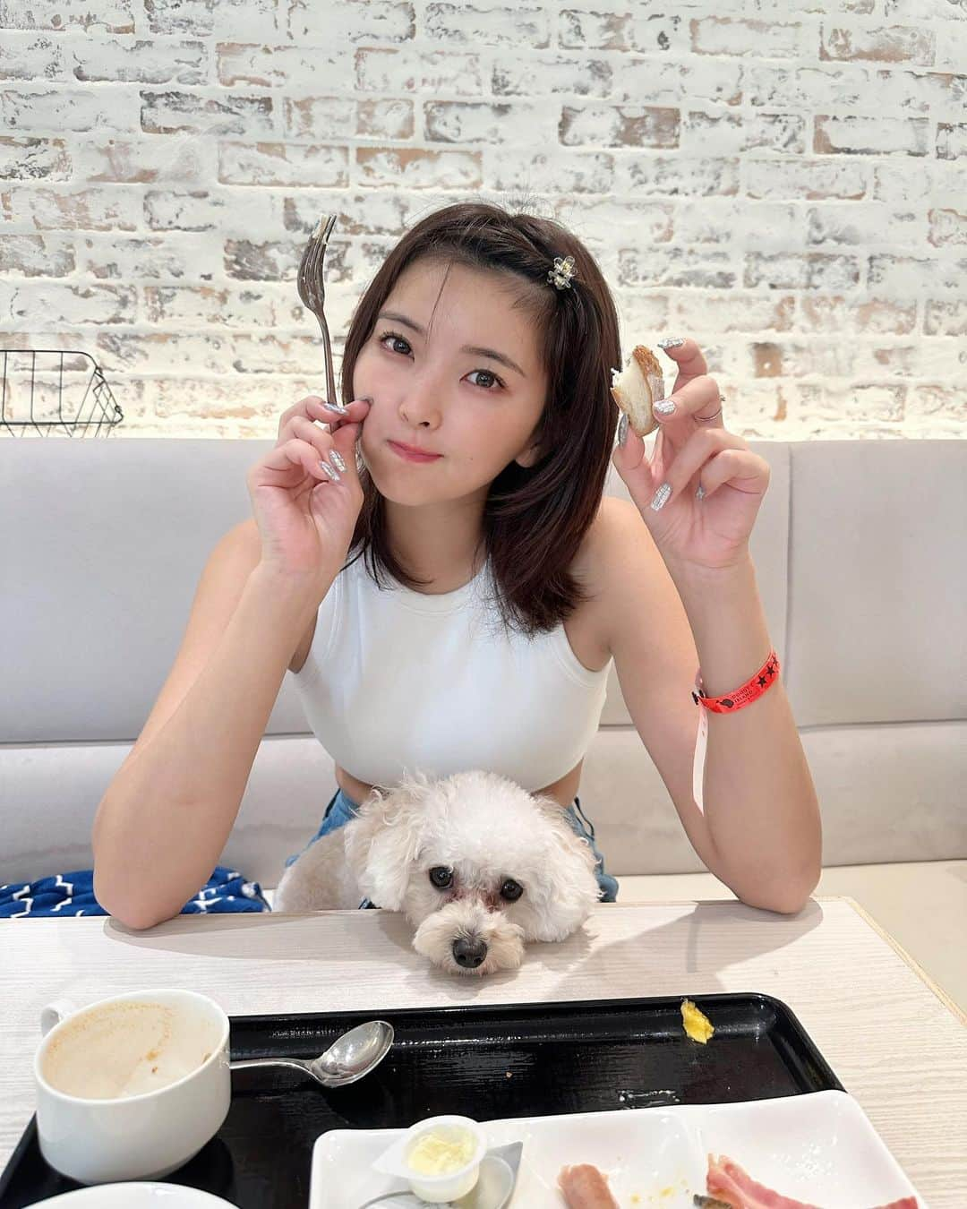 ききまるさんのインスタグラム写真 - (ききまるInstagram)「わんこと朝食ビュッフェ☀️🍽️🐶 . . .  . . ----------------------------  💠インスタ歴10年現在フォロワー45万人 💠猫と犬と東京のど真ん中で暮らす26歳 💠事務所無所属(フリーランス) 💠TikTok & Twitter & Therdsも 💠#旅行　#サウナ　#ダイエット  ㊙️サブスクリクションスタートしました！  →  毎日限定投稿中🙌💗登録よろしくねん  フォロー、保存、コメント嬉しいです✨       (((( 　@kikigram_97 ))))   -----------------------------  #わんことお出かけ #わんこと旅行 #わんこと一緒 #わんことごはん　#わんこと泊まれる宿 #ドギーズアイランド #ドギーズアイランド小谷流 #わんことドライブ」9月2日 19時28分 - kikigram_97