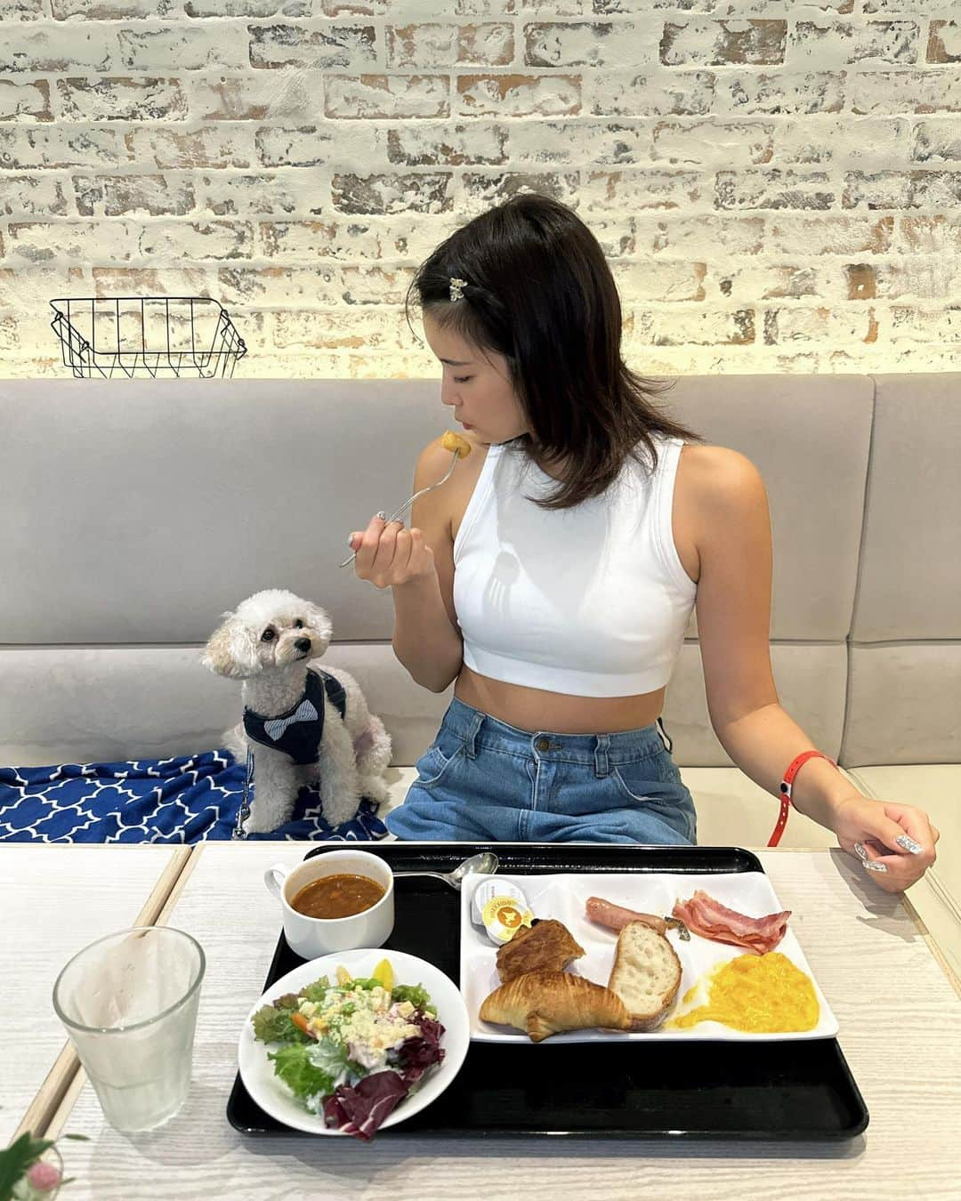 ききまるさんのインスタグラム写真 - (ききまるInstagram)「わんこと朝食ビュッフェ☀️🍽️🐶 . . .  . . ----------------------------  💠インスタ歴10年現在フォロワー45万人 💠猫と犬と東京のど真ん中で暮らす26歳 💠事務所無所属(フリーランス) 💠TikTok & Twitter & Therdsも 💠#旅行　#サウナ　#ダイエット  ㊙️サブスクリクションスタートしました！  →  毎日限定投稿中🙌💗登録よろしくねん  フォロー、保存、コメント嬉しいです✨       (((( 　@kikigram_97 ))))   -----------------------------  #わんことお出かけ #わんこと旅行 #わんこと一緒 #わんことごはん　#わんこと泊まれる宿 #ドギーズアイランド #ドギーズアイランド小谷流 #わんことドライブ」9月2日 19時28分 - kikigram_97