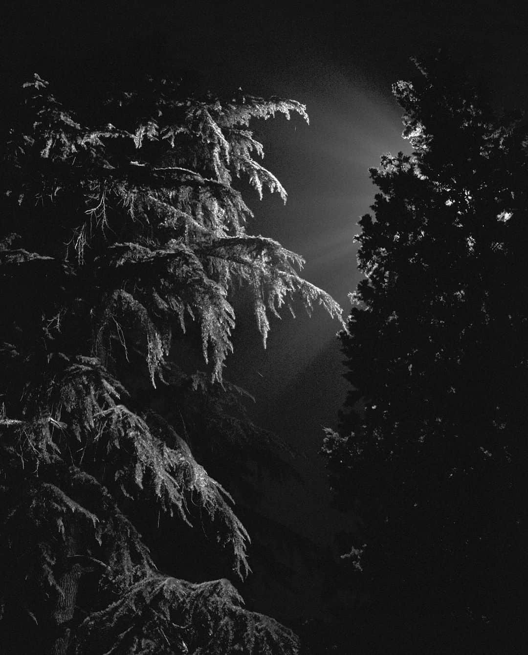 グレイシー・カルヴァルホさんのインスタグラム写真 - (グレイシー・カルヴァルホInstagram)「Night falls」9月2日 19時51分 - guilhermelicurgo
