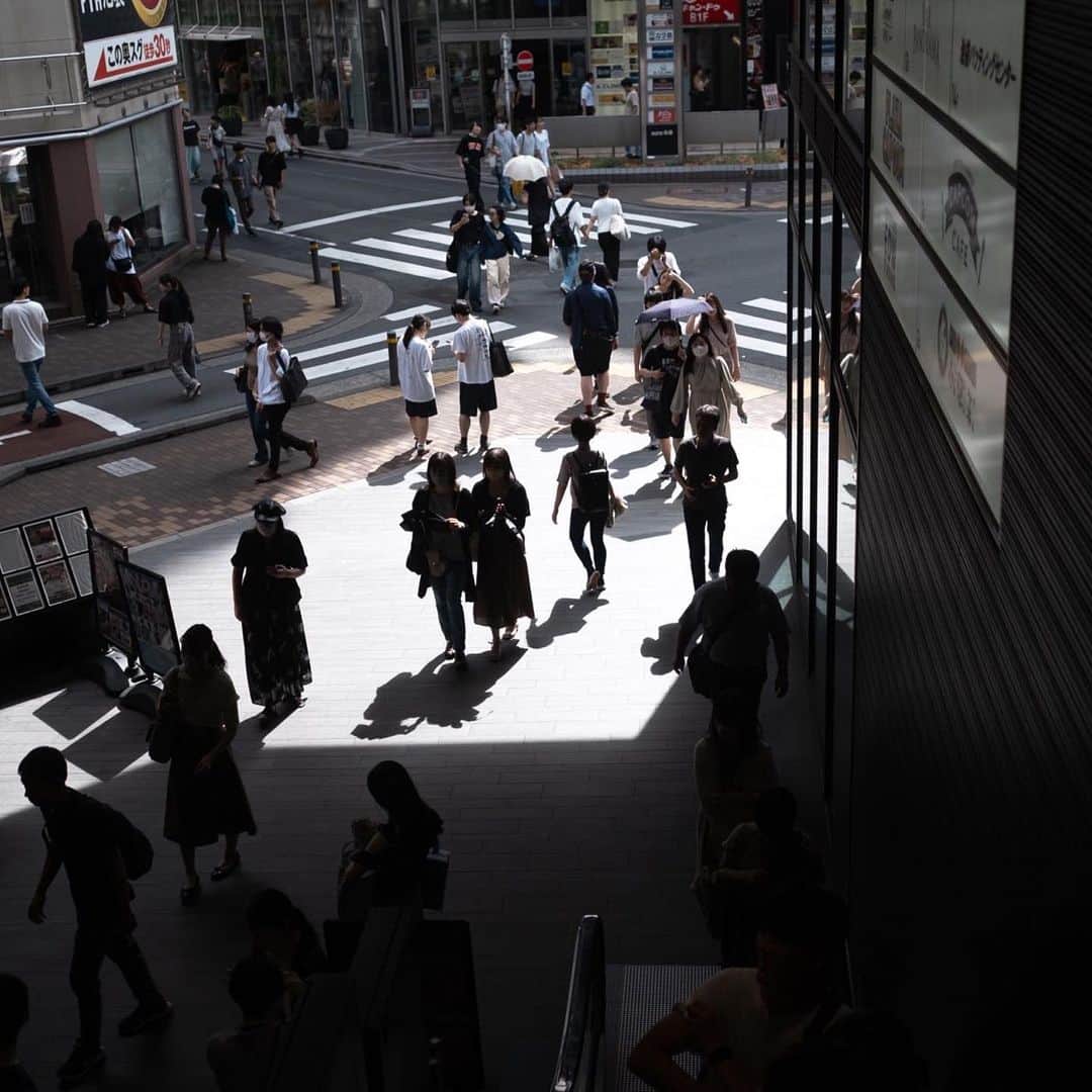 市川渚のインスタグラム：「Ordinary days in Tokyo . . この夏はめずらしくずーっと東京にいたなあ（暑すぎて行動する気が起きなかったともいう……）。そろそろ、どこか行きたいな。みなさん秋の旅行計画はありますか？  I spent the entire summer in Tokyo this year (I could also say it was too hot to feel like doing anything going anywhere). However, now, I'm starting to want to go somewhere!」