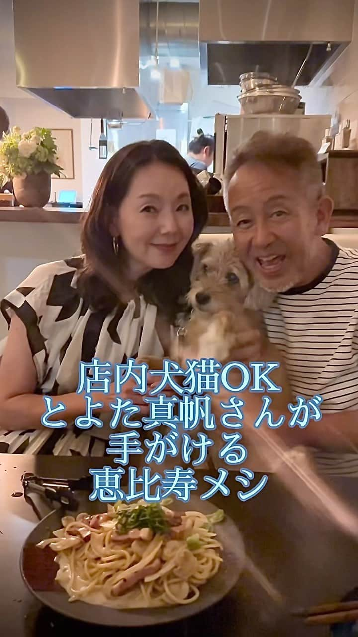 宮本亜門のインスタグラム：「おせきに すわれる😃うれしい✨  #とよた真帆　#保護犬活動をされている犬猫ラバー　#ワンコOK #猫OK #ペット可レストラン　#恵比寿ロジエ　#保存してね　　#保護犬ビート　#宮本亞門　#犬のいる暮らし #いぬすたぐらむ  @maho_toyota  @rogie_ebisu 以下レストラン情報 ーーーーーーーーー お席はカウンターとテーブル合わせ20名弱。  ご予約はレストランにお電話お願い致します🤲  住所 東京都渋谷区恵比寿南2-4-19 レストラン "ロジエ" tel 0357085221  営業時間は ⚪︎ランチ１１時３０分から１４時 ⚪︎ディナー１７時半から２1時半ラストオーダー ⚪︎２１時半からゆるりとバー営業 ⚪︎定休日なし　(バー日曜休み)  (只今カード申請し手続きが完了間近。今の時期は現金のみのお支払いとなるかもしれません。ご容赦ください)」