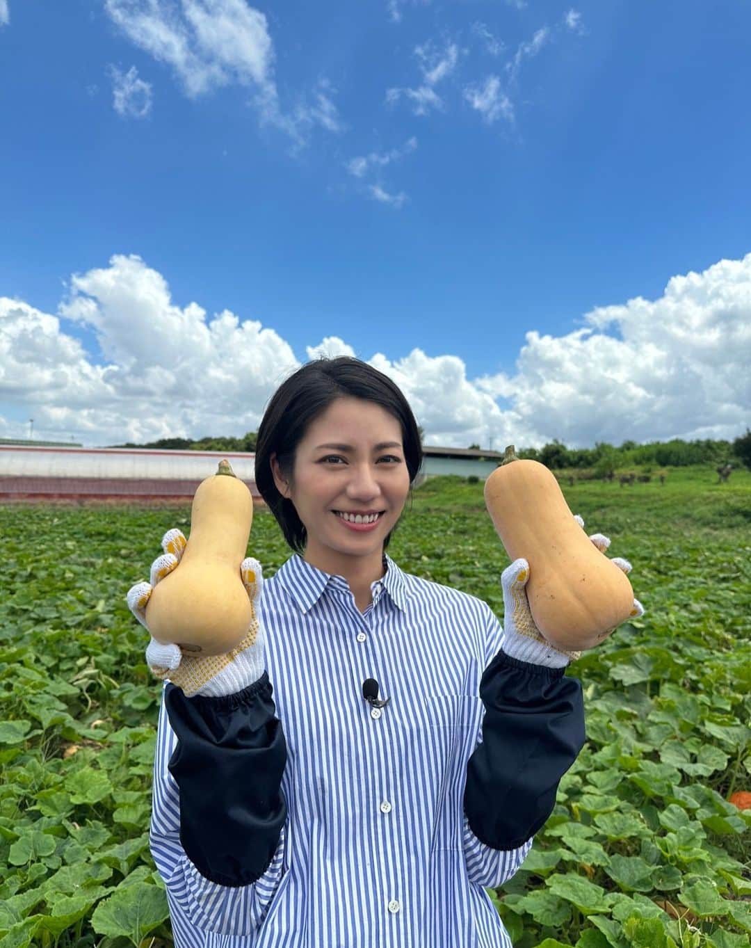 CODE-願いの代償-のインスタグラム：「\ #CODE願いの代償 📱いよいよ明日最終話 /  ˗ˏˋ📺出演情報❗️ˎˊ˗  本日９／２(土) 夕方6時30分〜 #日テレ『満天⭐️#青空レストラン』  #松下奈緒 さんが出演します🌤 見た目もかわいいバターナッツカボチャ、 おいしくいただきました🎃💓  #CODE願いの代償 #最終章」