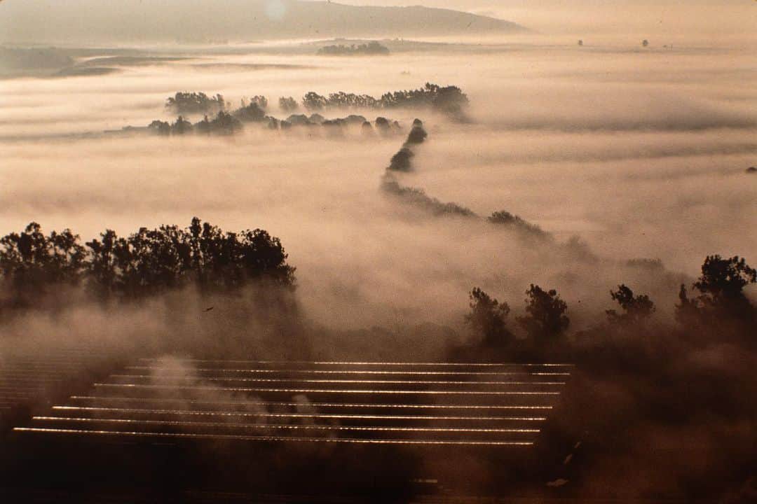 Michael Yamashitaのインスタグラム：「The flower farmers of Kagoshima, Japan, have taken their green thumbs to Salinas, California, the self described Salad Bowl of the World. Salinas also claims the best year-round climate in the entire North American continent. The farmers immigrated here in the 1950’s bringing their skills and traditions with them, including their architecture and gardens. #flowerfarm #flowerfarmer #salinas #salinascalifornia #japaneseamerican」