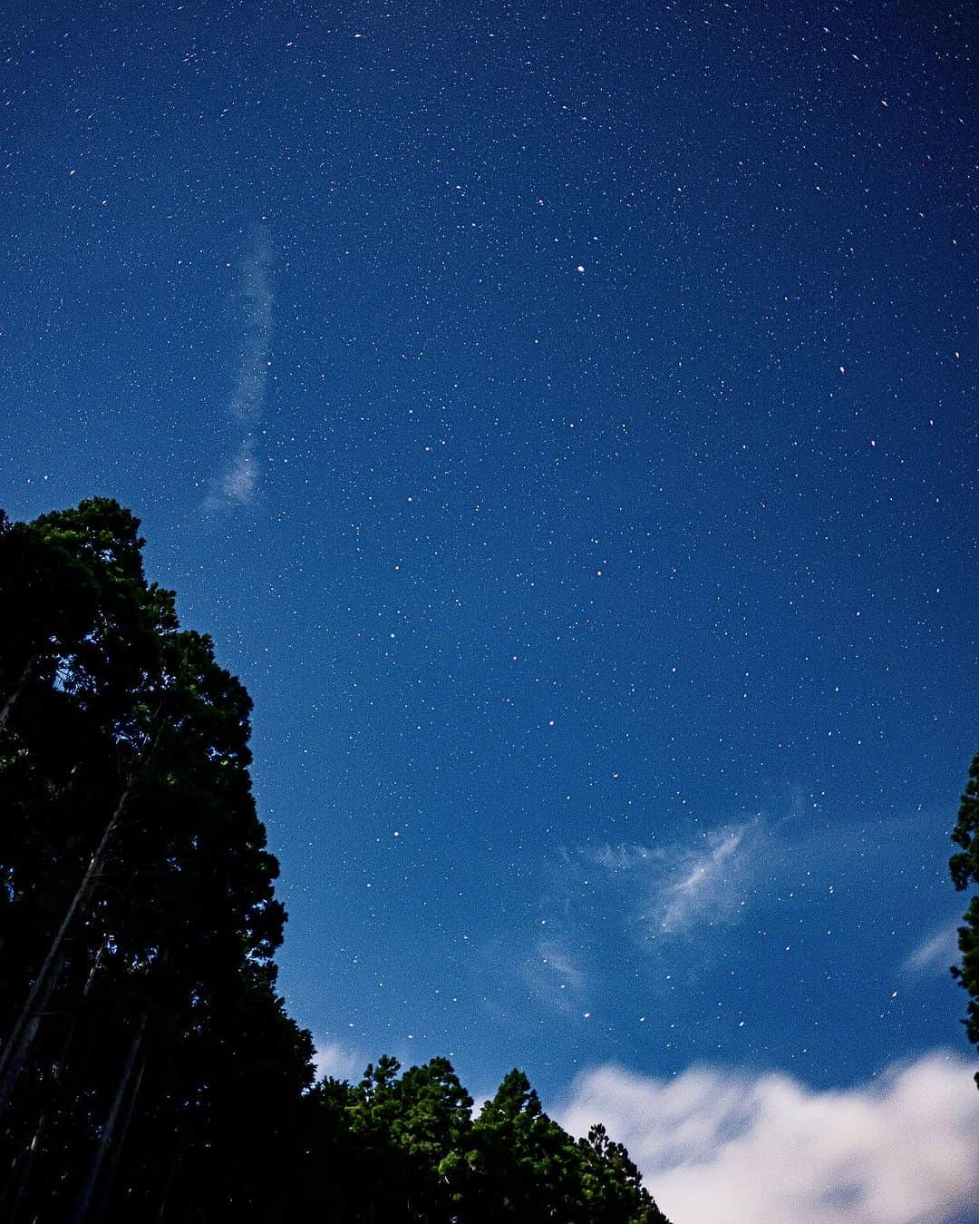 豊大槻のインスタグラム：「Camera: FUJIFILM X-H2 16mm f1.4 SS8 ISO320 ・ ・ ブルームーン、というか 月夜に星空を撮るのは 難しい... ・ ・ シーンと静まり返った夜に 月明かりだけが 闇を照らしていた。 ・ ・ 森の暗闇には動物の動く 音とかもして 少し怖ったけど ・ この後、立派なツノを持った鹿に出逢いました。 びっくりし過ぎて カメラ回せなかった... ・ ・ #ブルームーン  #星空  #夜景  #風景  #自然  #写真  #写真好きな人と繋がりたい  #カメラマン  #映像クリエイター  #月夜  #花が好き  #自然が好き  #海が好き  #癒し  #bluemoon  #starrynight  #view  #nightview  #healing  #photo  #photography  #nature」