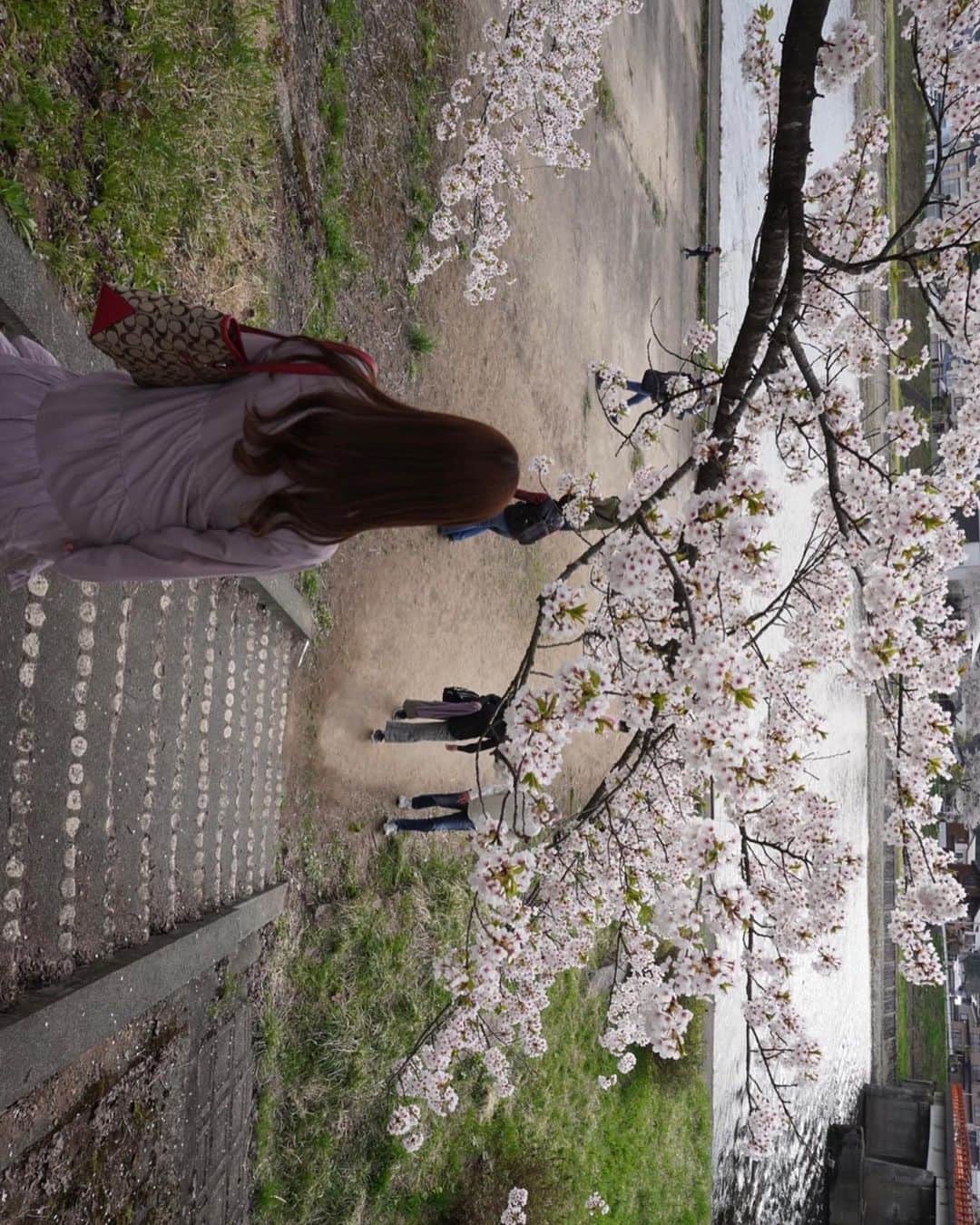 木村美咲さんのインスタグラム写真 - (木村美咲Instagram)「🩷🤍🌸」9月2日 12時29分 - misakii_63