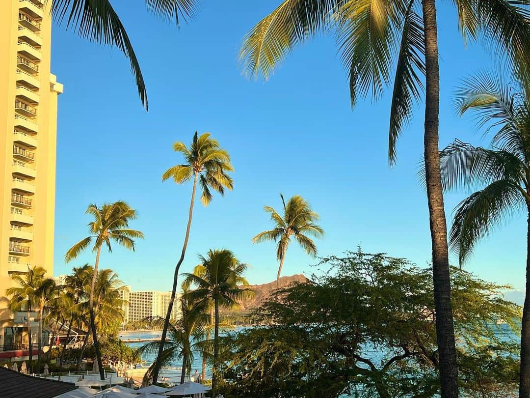 三好ユウさんのインスタグラム写真 - (三好ユウInstagram)「オアフ島で久ーしぶりのLA MER🍽️ French restaurant of Oahu. ⁡ 10年以上ぶりの来訪👀シェフは変わっている、 との事でしたが相変わらず華やなお料理の数々でした。 雰囲気も最高🥰 ⁡  頼んだカクテル（ノンアル）の薔薇の主張が 思いの外激しくとっても可愛い🌹 オーシャンフロントの絶景を目の前に いつでもスペシャルな気分にしてくれます✨ ⁡  今回のメンツで初ハワイ会もここだったり 初めてのハワイがハレクラニの宿泊だったりで 昔を思い出し感慨深いものがありました。 ⁡  そして滞在中に珍しくドレスコードを気にする場所かも。 大体服持って来ていなかったりするけど それもまた楽しい笑👗 ⁡ ⁡  #ハワイ#オアフ島#オアフ島グルメ #ハレクラニ #ハワイグルメ#ハワイ旅行#リゾート#旅行好きな人と繋がりたい#リゾート#粉我#旅游#좋아요그램 #데일#hawaiidinner #hawaii#oahu#lamer#tabijo#tabinikki#trip#japanese」9月2日 12時31分 - yuu_5240