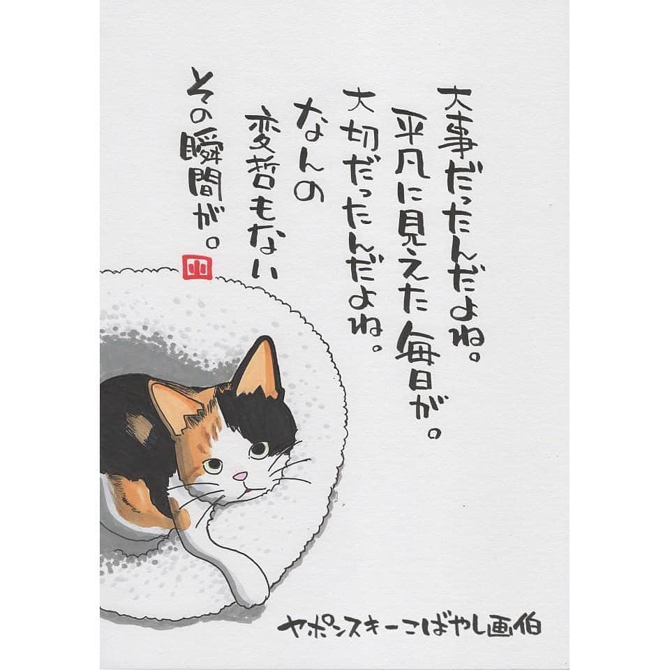 ヤポンスキーこばやし画伯さんのインスタグラム写真 - (ヤポンスキーこばやし画伯Instagram)「けもの日和 今日はgugu_nonさん家のネコ のんちゃんです。 昨年21歳で虹の橋を渡ったそうです。 大往生だ。 それでもいなくなるのは寂しいだろうな…という言葉にさせていただきました。 このエピソードを読んで ウチのネコもいつかは…と考えると、たまらない気持ちになります。 考えさせられるお写真ありがとうございました。  イラスト #ポエム  #イラストエッセイ #エッセイ #ヤポンスキー #ヤポンスキーこばやし画伯 #こばやし画伯 #芸人 #絵 #ポストカード #詩 #アート #言葉 #言葉の力 #人生 #生き方 #イラストグラム #イラストレーター #つぶやき #可愛い #前向き #ポジティブ #癒し #名言 #格言 #けもの日和」9月2日 13時01分 - kobayashigahaku