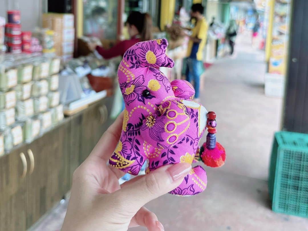 天羽希純さんのインスタグラム写真 - (天羽希純Instagram)「タイの思い出たち🇹🇭🐘  #タイ #タイ旅行 #Thailand #thailandtravel」9月2日 14時15分 - amaukisumi