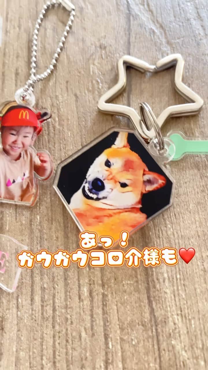 柴犬Mamesuke・Korosuke??大阪のインスタグラム：「🐱🐻👧🏻 🐾-—*-—*-—*-—*🐾 アクリーでチャリちゃんと 豆コロのキーホルダー 作ったよ❣️ めっちゃ可愛い😍 アプリがあるし、テンプレートもあるから、 作成苦手な人でも簡単に作れるよ😉 プレゼントにも絶対喜ばれるよね☺️ 詳細はこちらを👇 @acry.jp #ACRY #アクリー #アクリルプレート#敬老の日プレゼント #ad 🐾-—*-—*-—*-—*🐾 #MameKoro #豆コロ #柴犬と子供 #犬と子供 #チャリちゃん見守り隊 #子守犬 #豆柴 #柴犬 #赤柴 #豆介 #コロ介 #shibagram #shibastagram #shibainu #shiba #🐕📷」