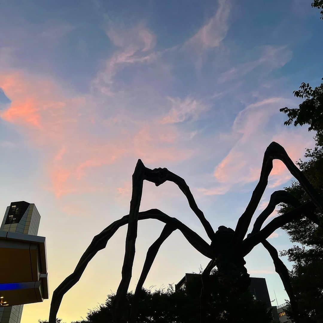 三谷紬さんのインスタグラム写真 - (三谷紬Instagram)「☁️🕷️ 『くも』 六本木の空♡ 秋めいてくると夕日が綺麗になる気がします。 ついカメラを向けてしまう🥺 * #空#sky#今日の空#夕日#夕方#雲#蜘蛛#☁️#🕷️#秋#秋の空#夕日が綺麗#六本木#roppongi#森タワー#カメラ#camera#カメラ女子#テレビ朝日#アナウンサー#三谷紬」9月2日 20時10分 - mitani_tsumugi