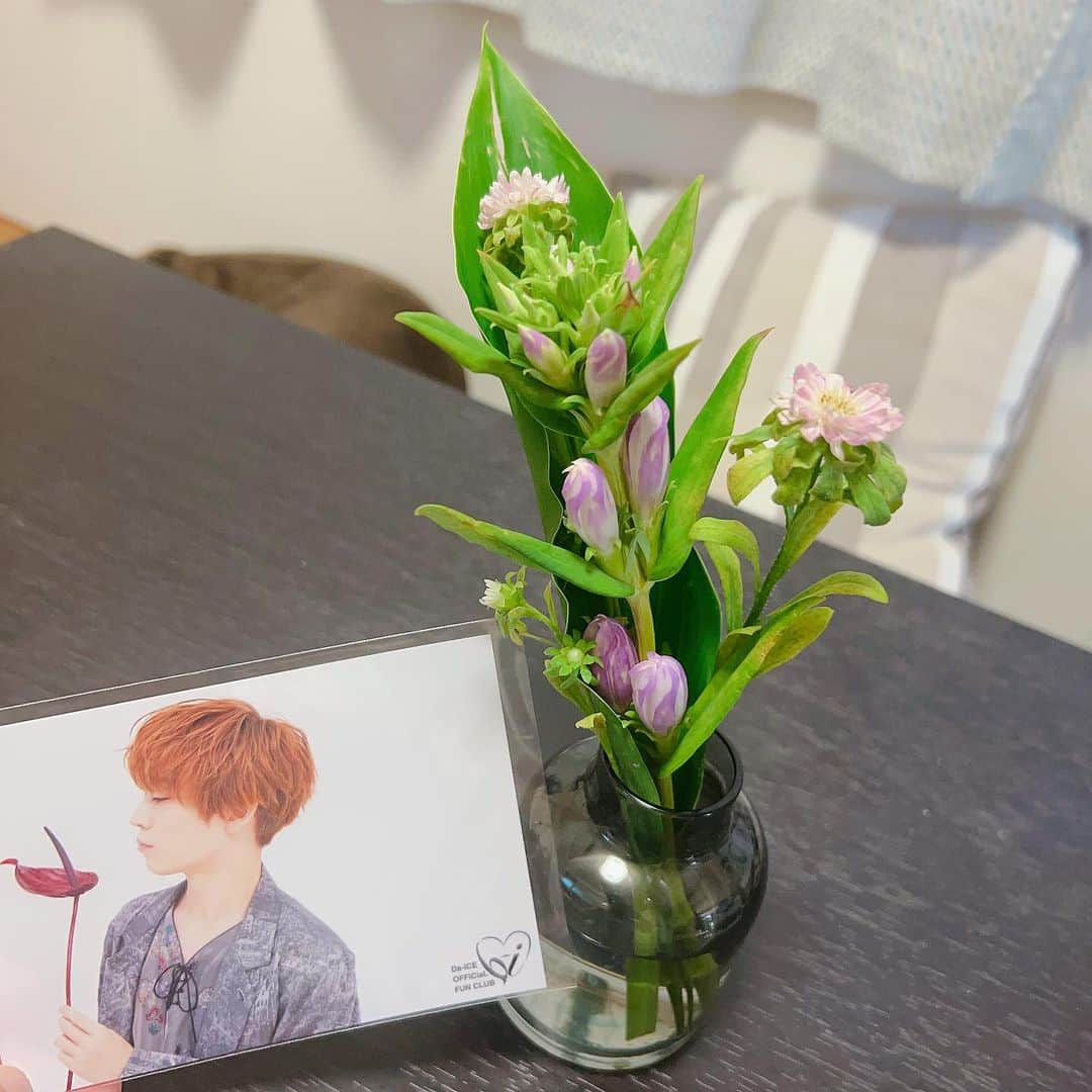 のインスタグラム：「#Da_iCE_ARENA_TOUR2023  いよいよ明日ファイナルにして、ツアー初参戦❣️ 代々木も初めてだー♬ 楽しみっ✨  先日届いたお花の定期便は、徹くんでしたー👍」