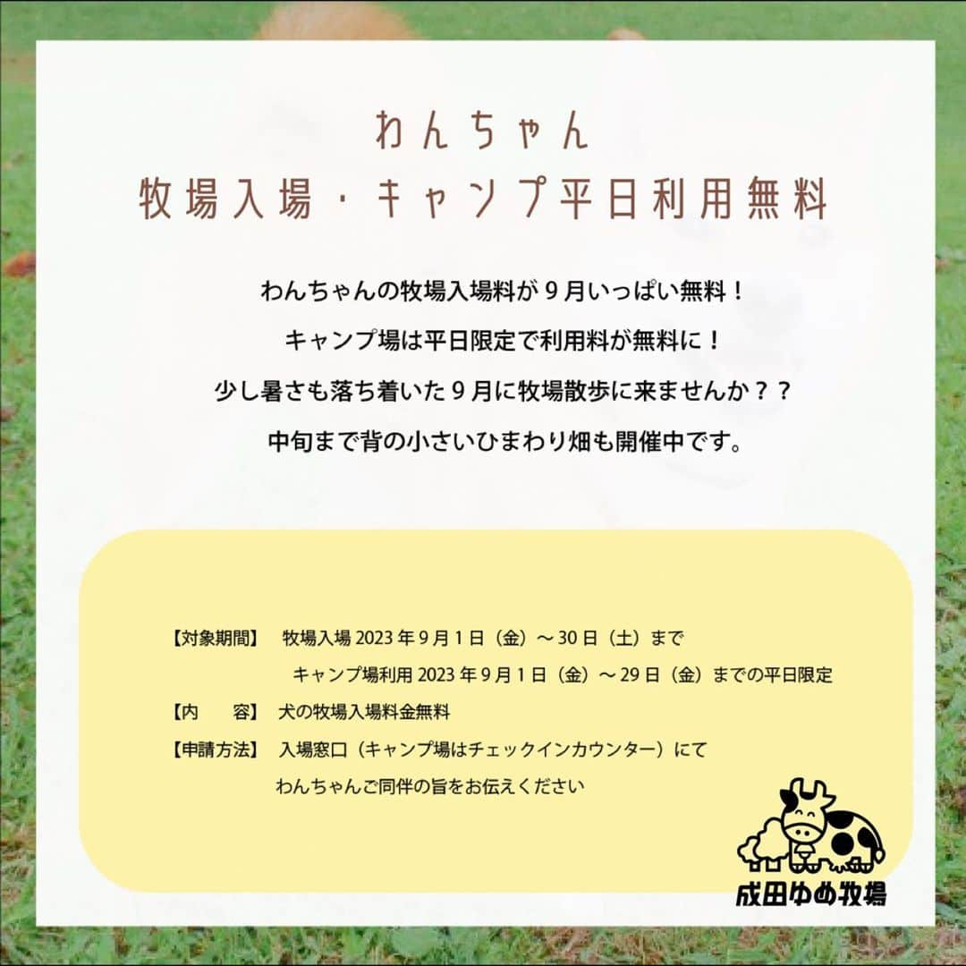 成田ゆめ牧場さんのインスタグラム写真 - (成田ゆめ牧場Instagram)「\9月限定お得なサービス/  9月は、わんちゃん、1歳までの赤ちゃん連れファミリー、大学生・専門学生がお得に楽しめる？！  9月限定のお得なサービスを実施いたします🎉❤︎  暑さも少し落ち着いた9月の牧場をのんびり楽しみませんか？ ☺️  ※本サービスは他割引との併用はできません ※ご利用・ご購入前に本サービス利用の旨をお伝えください。ご購入後の変更やご返金は対応できかねます。予めご了承下さいませ  サービスの詳細情報は成田ゆめ牧場公式HPをご確認ください。  #成田ゆめ牧場 #牧場  #千葉おでかけ #割引サービス #大学生 #専門学生 #赤ちゃんイベント #赤ちゃん #ドッグラン #わんちゃん #お散歩」9月2日 16時38分 - yumebokujo