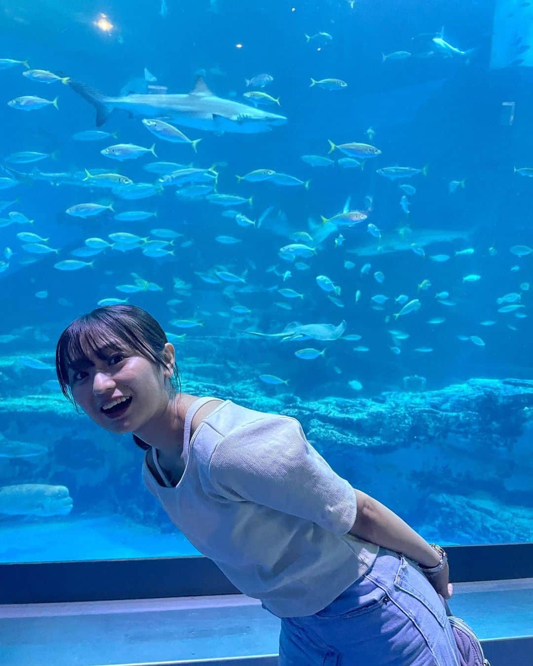 橋本乃依さんのインスタグラム写真 - (橋本乃依Instagram)「☺︎ 水族館派？それとも動物園派？？  私は海が大好きだから、僅差で水族館派！🐧🩶  #のいさんぽ #妹カメラ」9月2日 16時46分 - noihashimoto_official