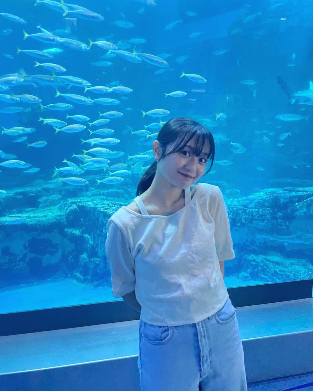 橋本乃依のインスタグラム：「☺︎ 水族館派？それとも動物園派？？  私は海が大好きだから、僅差で水族館派！🐧🩶  #のいさんぽ #妹カメラ」