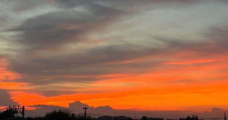 柏木作夢さんのインスタグラム写真 - (柏木作夢Instagram)「最近  夕刻になると父さんが夕陽の写真を送ってくる。  本当に寂しがり屋だな  きっと大好きなHawaiiに行きたくてウズウズしてるんだろうけど  たまには身体を労ってほしい。  どうせ届かぬ息子の想い  いつか親子三代で一杯交わそうや🍶  #sunset #JAPAN #beauty  #sky #fromdad」9月2日 17時53分 - samukashiwagi