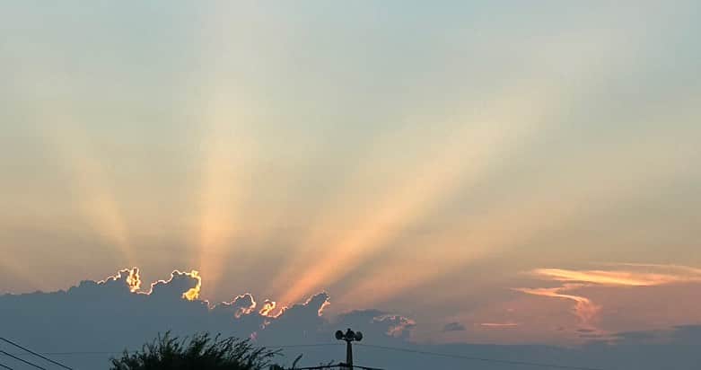 柏木作夢さんのインスタグラム写真 - (柏木作夢Instagram)「最近  夕刻になると父さんが夕陽の写真を送ってくる。  本当に寂しがり屋だな  きっと大好きなHawaiiに行きたくてウズウズしてるんだろうけど  たまには身体を労ってほしい。  どうせ届かぬ息子の想い  いつか親子三代で一杯交わそうや🍶  #sunset #JAPAN #beauty  #sky #fromdad」9月2日 17時53分 - samukashiwagi