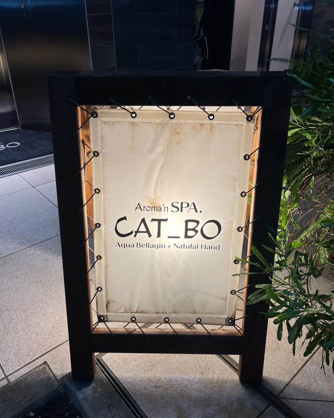 Moka さんのインスタグラム写真 - (Moka Instagram)「CAT_BO 一番町🛟 @cat_bo.1bancho 完全個室の ...