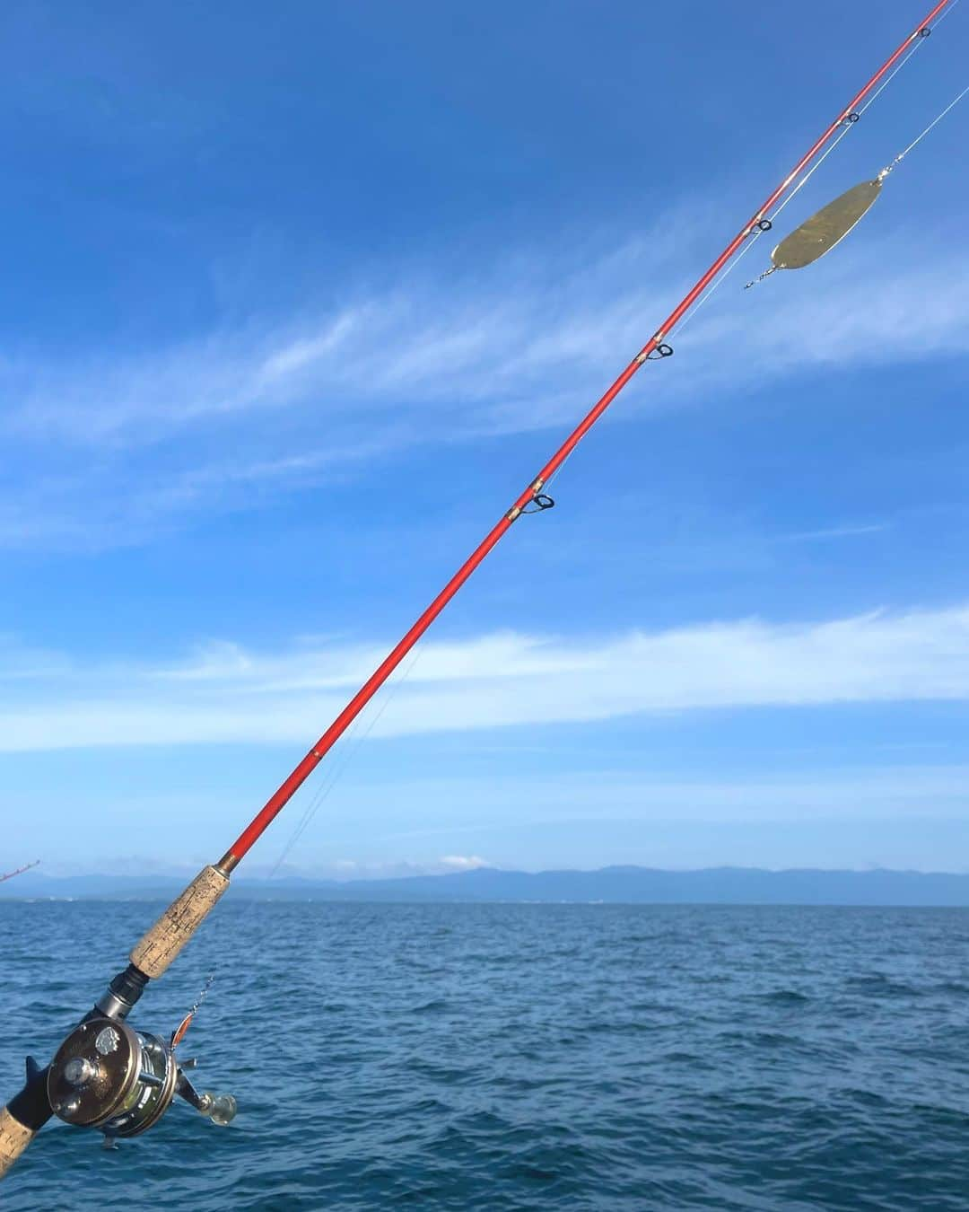 高本采実さんのインスタグラム写真 - (高本采実Instagram)「🎣 琵琶湖で1泊2日「ビワマス&バス釣り」  1日目のビワマスではDub Hand F 藤本船長 @dubhandf にお世話になり、北湖でトローリング🐟  まず装備されたタックルに惚れ惚れ。 AbuGarciaのアンバサダーがカッコ良すぎる。。。 そしてどれも輝く色んなスプーンに見惚れ。。 さらには魚のフォームをしたオモリが可愛くてトキメキ。♡  見に行くだけでも価値がある！🎣  そしてさすがの藤本会長！ 2日前の大雨の影響が残る厳しい状況の中、私たちに立派な50cmオーバーをはじめ、美味しいビワマスたちを十分釣らせてくれました✨  2日目は南湖でバス釣り🐟 この時期の南湖はかなり厳しく、しかし個人的に好きなポイントでアタリ出せたのは嬉しかったえ✊🏻まだまだバス修行は続きます🔥  5月2週目の、充実した琵琶湖DAYSでしたとさ🎣  . . . .  #琵琶湖 #ビワマス #ブラックバス #北湖 #南湖 #釣り動画 #トローリング #バス釣り #バスボート #trolling #bassfishing #biwatrout  #blackbass #ビワマス料理 #魚料理 #大物ハンター #アングラー #fishinggirl #钓鱼 #高本采実 #あやみん #ayamistagram」9月2日 18時18分 - ayami__summer