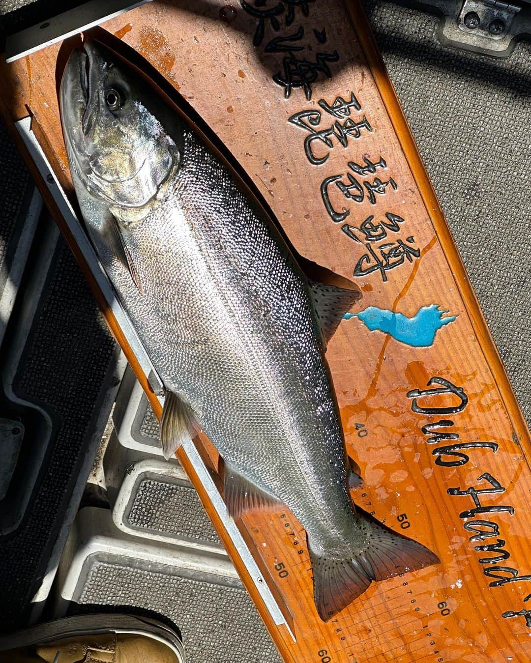 高本采実さんのインスタグラム写真 - (高本采実Instagram)「🎣 琵琶湖で1泊2日「ビワマス&バス釣り」  1日目のビワマスではDub Hand F 藤本船長 @dubhandf にお世話になり、北湖でトローリング🐟  まず装備されたタックルに惚れ惚れ。 AbuGarciaのアンバサダーがカッコ良すぎる。。。 そしてどれも輝く色んなスプーンに見惚れ。。 さらには魚のフォームをしたオモリが可愛くてトキメキ。♡  見に行くだけでも価値がある！🎣  そしてさすがの藤本会長！ 2日前の大雨の影響が残る厳しい状況の中、私たちに立派な50cmオーバーをはじめ、美味しいビワマスたちを十分釣らせてくれました✨  2日目は南湖でバス釣り🐟 この時期の南湖はかなり厳しく、しかし個人的に好きなポイントでアタリ出せたのは嬉しかったえ✊🏻まだまだバス修行は続きます🔥  5月2週目の、充実した琵琶湖DAYSでしたとさ🎣  . . . .  #琵琶湖 #ビワマス #ブラックバス #北湖 #南湖 #釣り動画 #トローリング #バス釣り #バスボート #trolling #bassfishing #biwatrout  #blackbass #ビワマス料理 #魚料理 #大物ハンター #アングラー #fishinggirl #钓鱼 #高本采実 #あやみん #ayamistagram」9月2日 18時18分 - ayami__summer