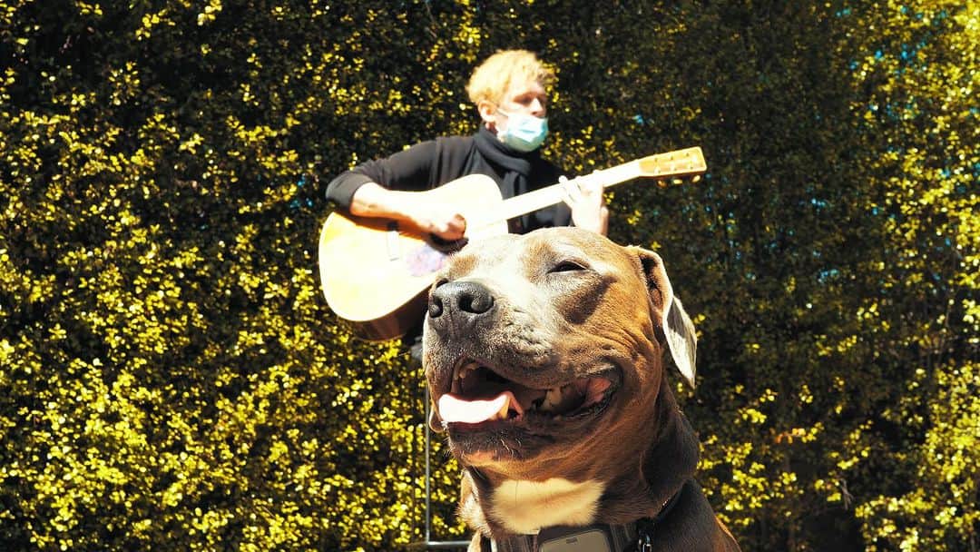 のインスタグラム：「Not a photo of Kryz, but a photo of our favorite mascot Brucie.」