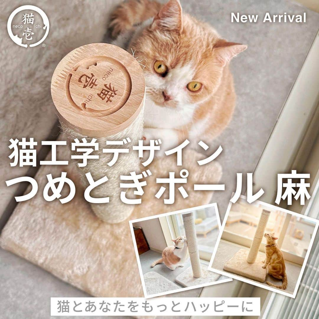 猫壱（ねこいち•ネコイチ）のインスタグラム：「❤︎猫とあなたをもっとハッピーに❤︎  猫壱つめとぎにポール型つめとぎが仲間入り✨ 猫工学デザインつめとぎポール　の販売を開始致しました🙌✨  ①猫が心地よく伸びて、つめとぎができる高さ60cm😺✨  バリバリつめとぎポールは高さ60cm🐱❤︎（つめとぎポール1本あたりの長さ27.5cmです） 猫が心地よく伸びて、つめとぎができるサイズ感です🙌  実は猫はリラックスしながら、伸びをしている時に幸福ホルモンを放出すると言われています✨  60cmの高さのつめとぎポールで心地よく伸びをしながら、つめとぎを楽しむ、そんなハッピーなひとときをあなたの愛する猫にも🐱  ②麻素材のつめとぎは使い込むほどに猫好みに👍  繊維がほつれていくことで、徐々に猫好みの柔らかさに🙌 長持ちするので、猫のつめとぎの目的の１つであるにおいづけもしっかりできます👍✨ 麻縄は着色料不使用で、猫ちゃんにも安心です♡  ③つめとぎは天地＆上下入れ替え可能🙌  今までのつめとぎポールは上下の入れ替えができませんでしたが、 新しいつめとぎポールは、２本のつめとぎ交換が可能👍✨ 傷んだ部分だけを交換しながら、自分のにおいの染み込んだ、お気に入りのつめとぎを長くお使いいただけます❤︎  ＊交換用つめとぎは２個セットでご用意しています🐾 ※交換用つめとぎにはネジ・六角レンチは付属しておりませんのでご注意ください。   ④ずっしり重たい台座で安定感😆  つめとぎポールの台座は1.68kg！ どっしりとした重さで、安定感があり、 猫が体重をかけても倒れにくく、のびのびつめとぎが楽しめます🥺❤︎  台座はもこもこカーペット素材なので、つめとぎで気分転換やストレス発散後、落ち着く場所としても👍  つめとぎポールを台座に固定するネジは床に当たらない仕様になっているので床を傷つけてしまう心配がありません🐱   ⑤木製の上蓋には猫壱ロゴ🐱  木製の上蓋には猫壱ロゴが❤︎❤︎ つめとぎしている姿を上から見たときにも可愛さをプラスしました✨  _._._._._._._._._._._._._._._._._._._._._._._._. 猫ちゃんが長くハッピーに使える工夫を詰め込んだバリバリつめとぎポール　麻　🐾 気になる方はぜひストーリーズのリンクよりチェックしてくださいね👍✨ :::::::::#猫壱 :::::::  猫壱は\猫が幸せ、私も幸せ/をモットーに猫グッズの開発に取り組んでいます♪  気になる方は @necoichicojp をチェックしてみてくださいね！」