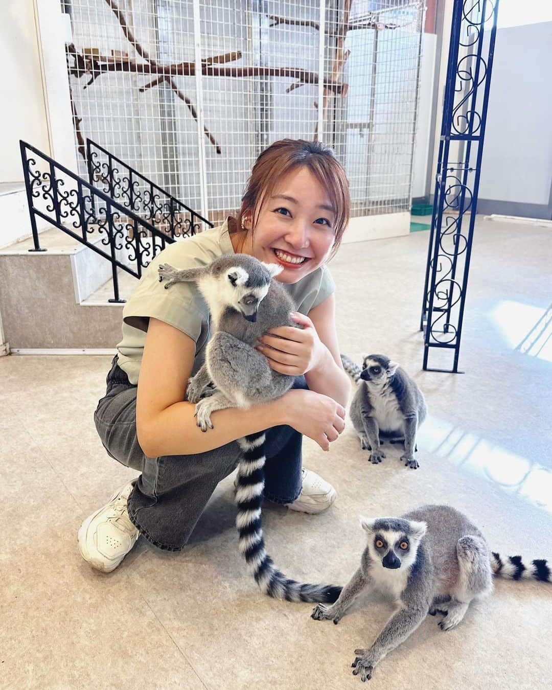 杉原凜さんのインスタグラム写真 - (杉原凜Instagram)「おとといのZIP!中継は、室内動物園のアニタッチからでした。 1枚目の#ワオキツネザル はとーっても元気な子たちで、私が立っていてもしゃがんでいてもぴょーんと飛び乗ってきてくれました😂 可愛すぎた… 2枚目は#オニオオハシ のナラちゃん。今回特別に腕に乗せていただきました。鳥とこんなに近くで触れ合ったのは初めて！とても良い子で、大きなクチバシの色が綺麗でした〜🫶  #ZIP #NOWニッポン #21 #アニタッチ   👗#theshoptk #jouete」9月2日 20時23分 - sugihara_rin