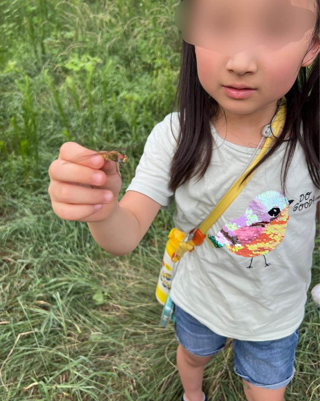 池上真麻さんのインスタグラム写真 - (池上真麻Instagram)「週末はいろいろ予定を入れているのに、学校の宿題で虫を捕まえないといけない！とのことで、なんとか夕方公園に。 公園で出会った虫博士の男の子たちとワイワイと。 我が子たちは動物苦手なのに虫は大丈夫らしい。 中目黒公園は四季折々の花もたくさん🌸💐 . #虫捕り  #東京 #姉妹 #姉妹ママ #ワーキングマザー #ワーママ #高齢出産 #高齢育児 #2歳差育児」9月2日 20時39分 - marsaikegami