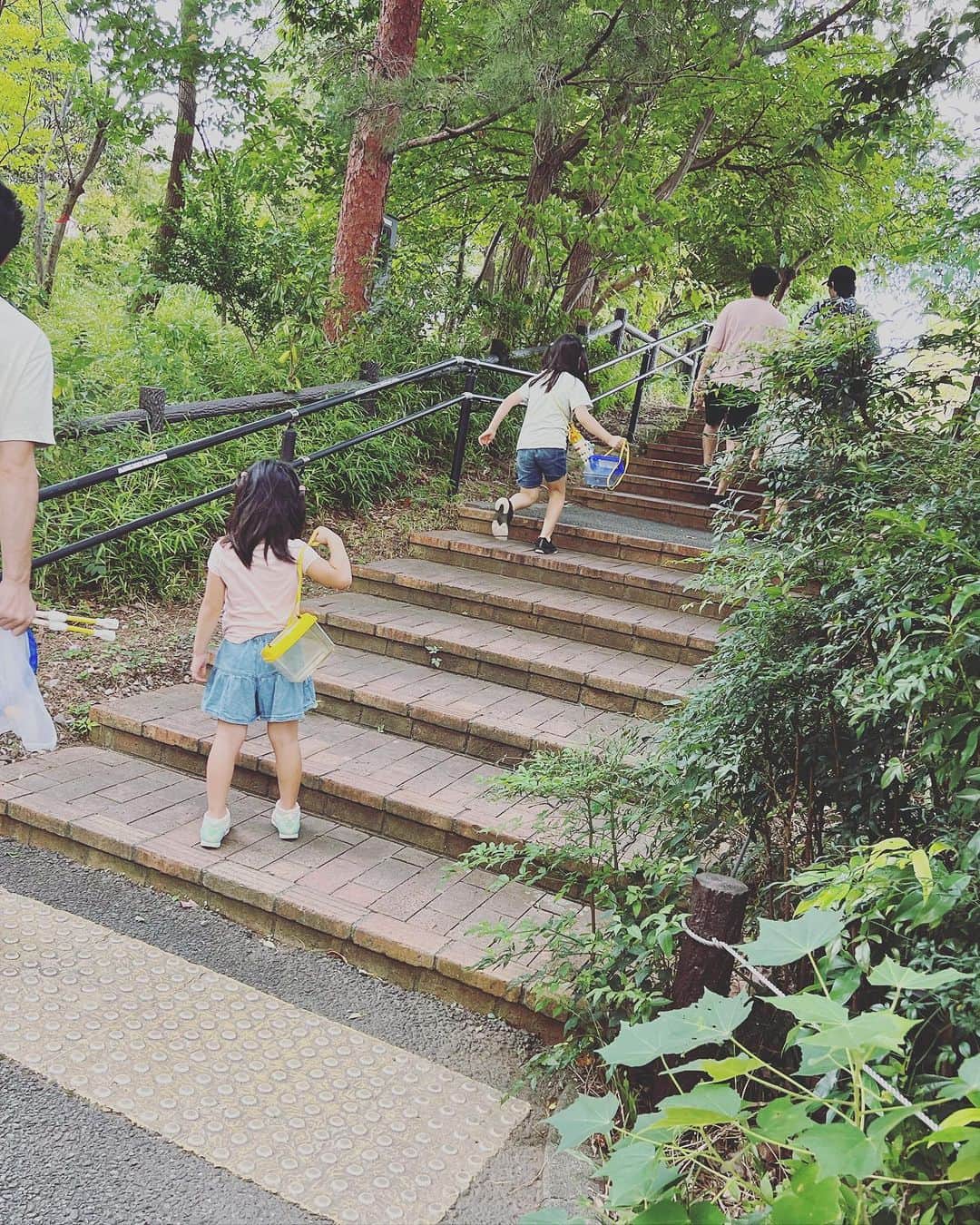 池上真麻さんのインスタグラム写真 - (池上真麻Instagram)「週末はいろいろ予定を入れているのに、学校の宿題で虫を捕まえないといけない！とのことで、なんとか夕方公園に。 公園で出会った虫博士の男の子たちとワイワイと。 我が子たちは動物苦手なのに虫は大丈夫らしい。 中目黒公園は四季折々の花もたくさん🌸💐 . #虫捕り  #東京 #姉妹 #姉妹ママ #ワーキングマザー #ワーママ #高齢出産 #高齢育児 #2歳差育児」9月2日 20時39分 - marsaikegami