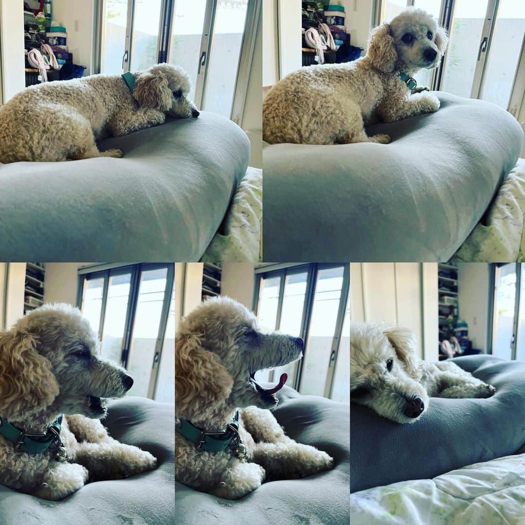 金村義明のグルメインスタ