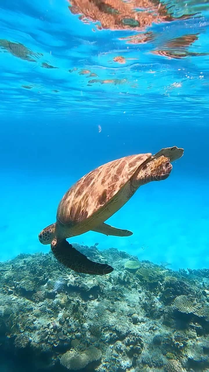 MINAMIのインスタグラム