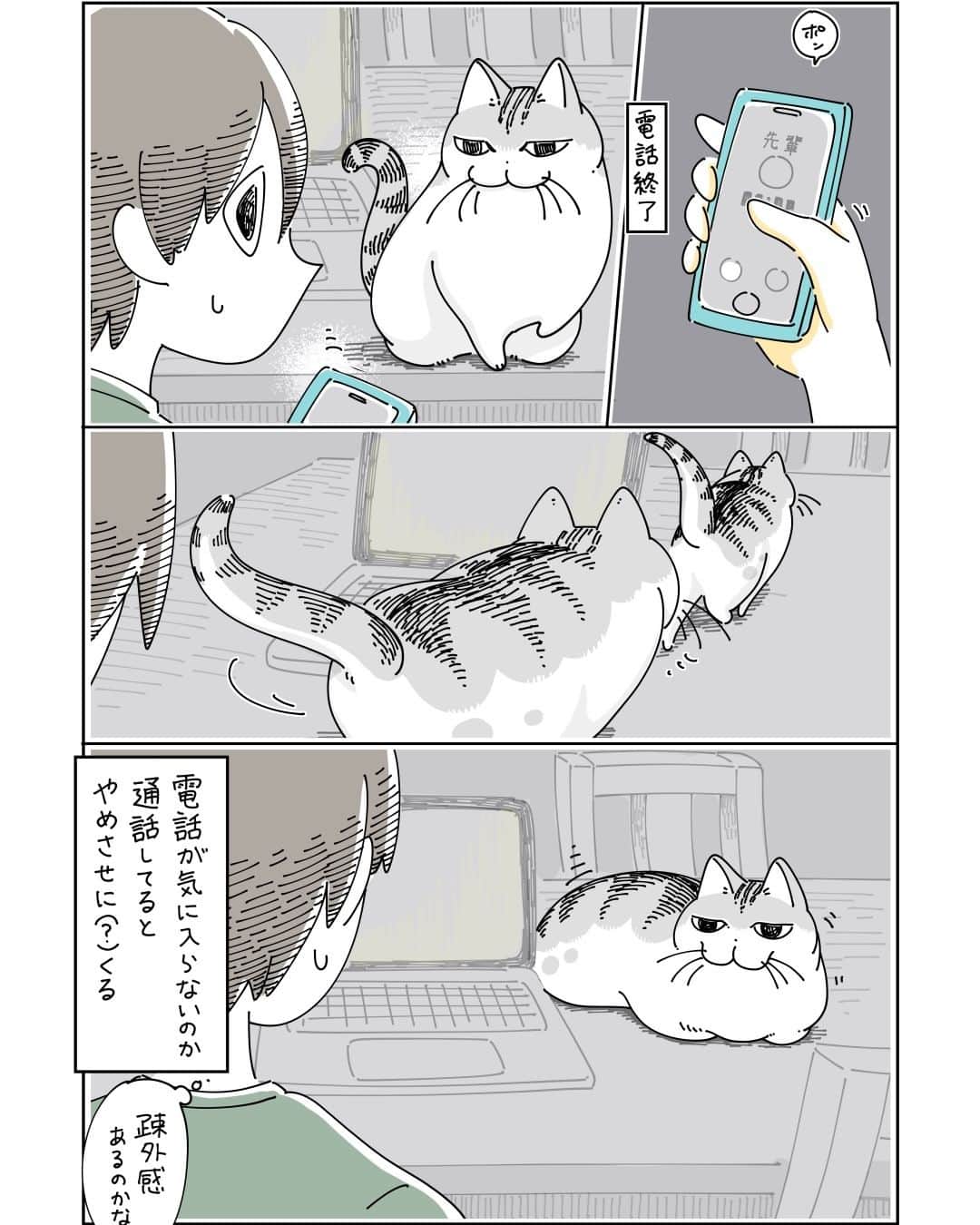 キュルZさんのインスタグラム写真 - (キュルZInstagram)「電話が気に入らないっぽいネコ  #キュルガ #夜は猫といっしょ #猫 #cat #猫漫画 #猫のいる暮らし」9月2日 20時58分 - kyuryuz