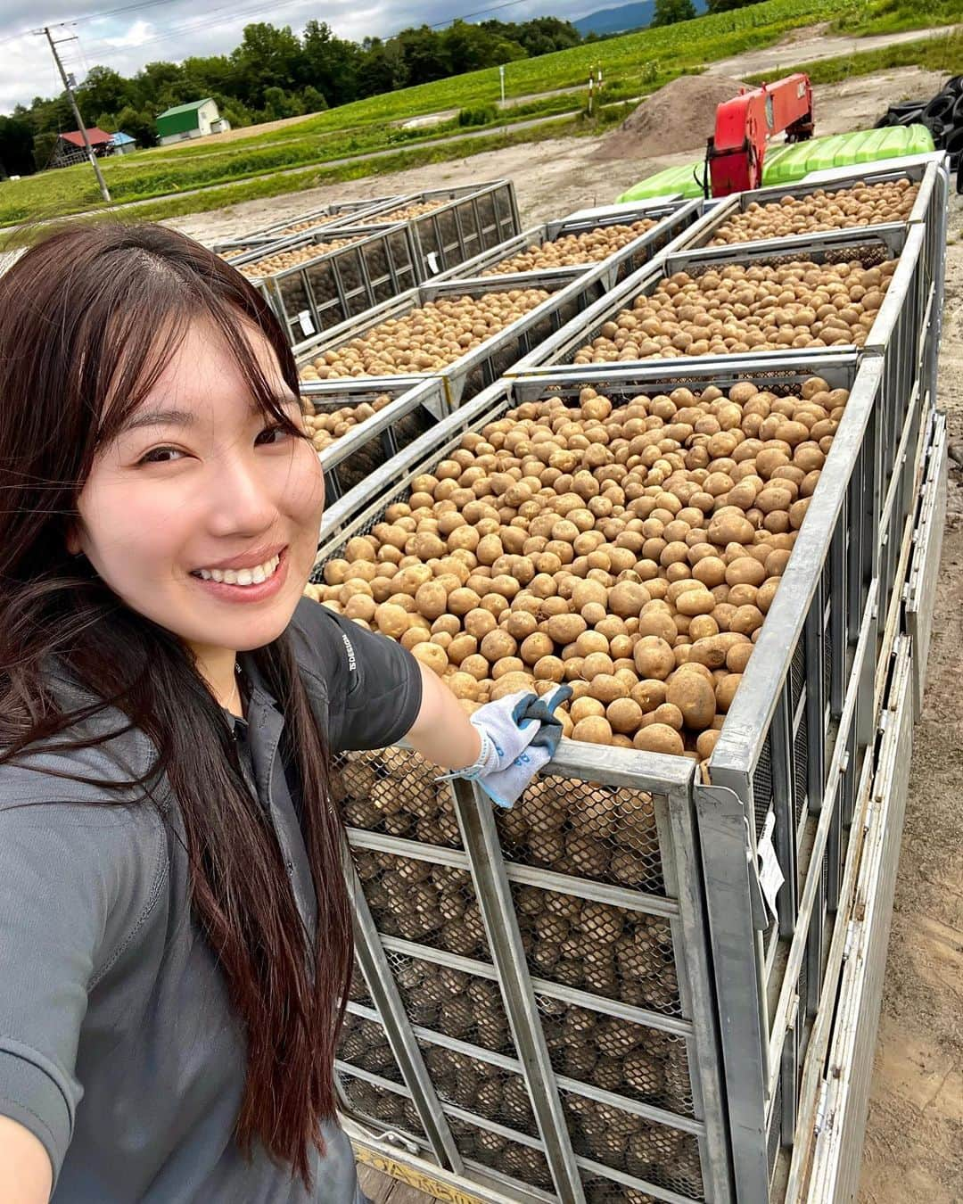 めいめいのインスタグラム：「このジャガイモはポテトチップスの原料になるらしい！！🥔  #トラックめいめい #これから毎日ポテトチップス食べて需要を増やすことにした  #馬鈴薯#トラックドライバー#トラック運転手#トラックガール」