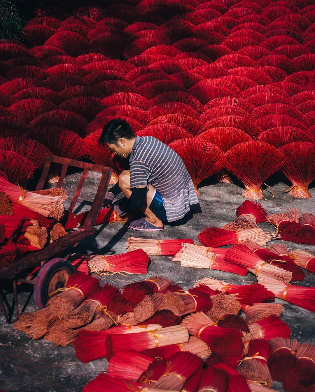 R̸K̸さんのインスタグラム写真 - (R̸K̸Instagram)「Red Carpet in Vietnam.  ・ ・ ・ ・ #beautifuldestinations #earthfocus #earthbestshots #earthoffcial #earthpix #thegreatplanet #discoverearth #roamtheplanet #ourplanetdaily #nature #tentree #designboom #voyaged #sonyalpha #bealpha #travellingthroughtheworld #streets_vision #lonelyplanet #luxuryworldtraveler #onlyforluxury #bbctravel #lovetheworld @sonyalpha  @lightroom @soul.planet @earthfever @9gag @paradise @natgeotravel @awesome.earth @national_archaeology」9月2日 21時00分 - rkrkrk