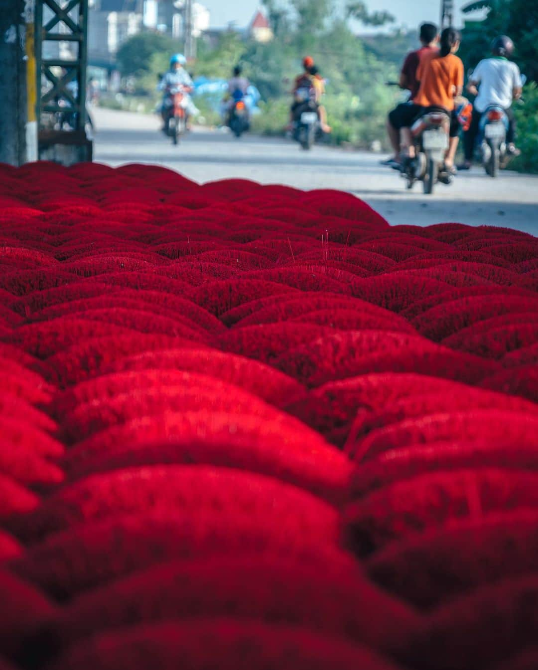 R̸K̸さんのインスタグラム写真 - (R̸K̸Instagram)「Red Carpet in Vietnam.  ・ ・ ・ ・ #beautifuldestinations #earthfocus #earthbestshots #earthoffcial #earthpix #thegreatplanet #discoverearth #roamtheplanet #ourplanetdaily #nature #tentree #designboom #voyaged #sonyalpha #bealpha #travellingthroughtheworld #streets_vision #lonelyplanet #luxuryworldtraveler #onlyforluxury #bbctravel #lovetheworld @sonyalpha  @lightroom @soul.planet @earthfever @9gag @paradise @natgeotravel @awesome.earth @national_archaeology」9月2日 21時00分 - rkrkrk