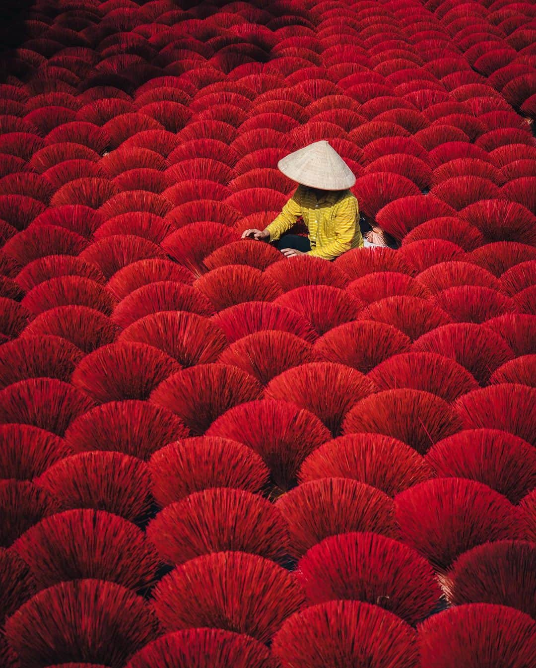 R̸K̸のインスタグラム：「Red Carpet in Vietnam.  ・ ・ ・ ・ #beautifuldestinations #earthfocus #earthbestshots #earthoffcial #earthpix #thegreatplanet #discoverearth #roamtheplanet #ourplanetdaily #nature #tentree #designboom #voyaged #sonyalpha #bealpha #travellingthroughtheworld #streets_vision #lonelyplanet #luxuryworldtraveler #onlyforluxury #bbctravel #lovetheworld @sonyalpha  @lightroom @soul.planet @earthfever @9gag @paradise @natgeotravel @awesome.earth @national_archaeology」
