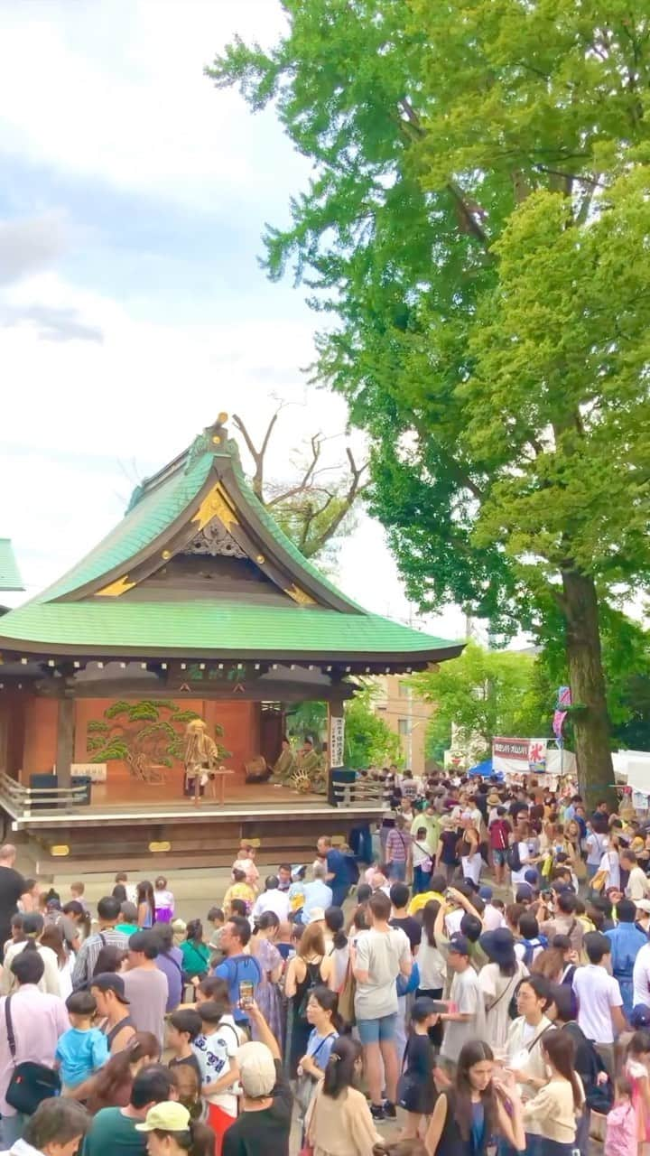 石井脩平のインスタグラム：「👘 【北澤八幡神社 例大祭】 　 　 下北沢という土地全体を司る神社のお祭り。 夏の終わりを感じさせる夏祭り。 　 今日は宵宮、明日が大祭。 道のそこら中で御神輿やら山車やら担いだはって、街のみんなが全体がお祭りムード。 ここら辺のおじさん達もおばちゃん達もちびっ子達も半纏着て浴衣着て楽しそうにしてて、好きなんですこの2日間。 　 　 🏮 去年も同じ場所から同じような映像撮って同じようなこと言うてた気するけども。 　 「夏はもう終わるんやぞ」 と言われてるような気持ちなりますよねぇ。 儚いなぁ。 切ないなぁ。 ええなぁ、日本の夏やなぁ。 　 ドラマ「ビーチボーイズ」第6話の花火大会みたいな存在ですよね。 でも水泳は折り返してからが勝負だからさ。 言うてねぇ。 好きやねんなぁ、第6話。 　 　 #何の話してんねん #ビーチボーイズ #もうええねん 　 #北澤八幡神社 #北澤八幡神社例大祭 　 #ボクらの街下北沢」