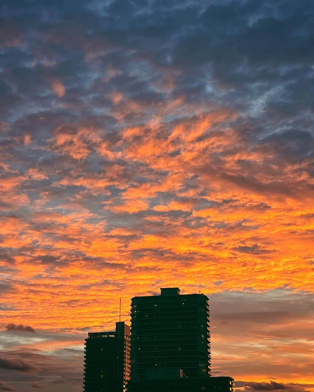 ima_ju / Jun Iさんのインスタグラム写真 - (ima_ju / Jun IInstagram)「: : Burning Sky on the Summer Urban : : 暑いの嫌だけど、夕焼けだけは綺麗だ : : ::」9月2日 21時23分 - ima_ju