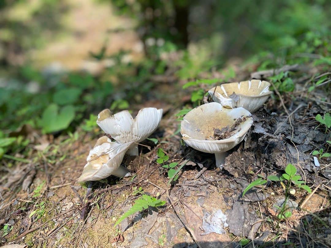 有福温泉 旅館ぬしやのインスタグラム
