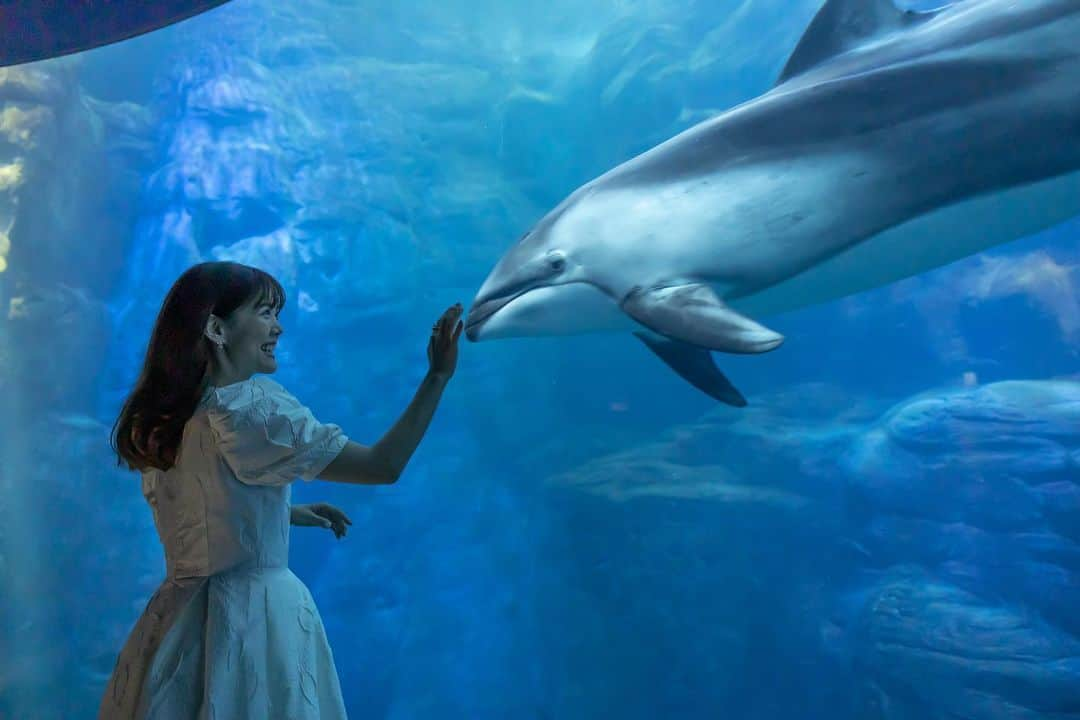 上坂由莉さんのインスタグラム写真 - (上坂由莉Instagram)「📍海遊館🐠 @kaiyukan_japan  ⁡ 撮影で行かせていただいた時の📷 小学生ぶりの海遊館で新鮮でした🦭⸝⸝ ⁡ ⁡ 大人になって観る海遊館、 しかも夜の海遊館… めちゃくちゃよかったです🐳🩵 ⁡ ⁡ 撮影忘れて楽しんでしまいました🤭 9月になりましたが、まだまだ暑いし、 大阪のオススメ観光スポット♡ ⁡ ⁡ ジンベエソーダフロートは撮影後 皆さんと一緒にいただきました🩵 ラムネ味でさっぱり美味しい🧊 ⁡ ⁡ #海遊館 #大阪観光 #大阪旅行 #大阪観光スポット #関西旅行 #女子旅 #夜の水族館 #水族館 #国内旅行 #ジンベエザメ #タビジョ #撮影 #撮影モデル #おでかけスポット #旅行好き #夏休み #大阪デート #白ワンピ #夏ワンピ #夏コーデ #ワンピースコーデ」9月2日 21時52分 - yuri_yoga.727