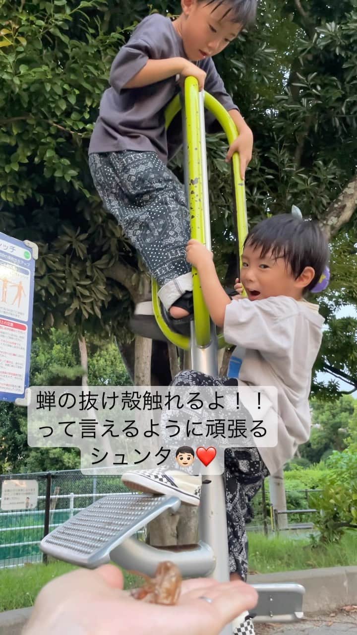 田中真奈美のインスタグラム：「シュンタ３歳の夏🌻 やり残してた事を頑張りました！！🤩 . 家では蝉の抜け殻触れるよ！！ とドヤ顔で答えるシュンタ👦🏻 実際はビビリまくって触れなかった事が心残りだったみたいで毎日蝉の抜け殻の話をして来てたので最後にリベンジしてみました💓 . 可愛い成長です🤭💓 . . . #福岡ママ  #リョータの夏遊び🍉  #シュンタの夏遊び🍉  #リョータとシュンタ」