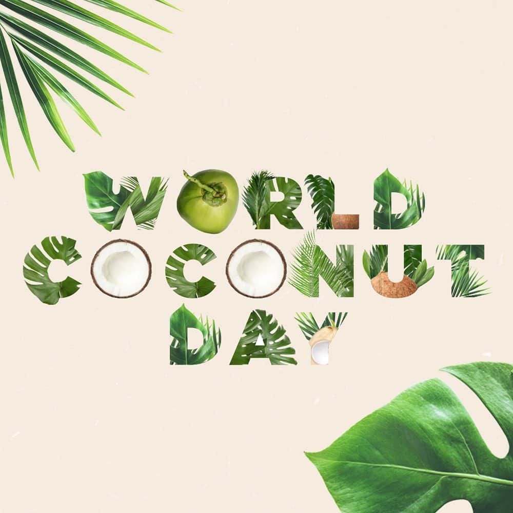 Vita Coco Coconut Waterのインスタグラム：「Happy World Coconut Day, you beautiful coconuts! This year, we’re celebrating:  🥥 The expansion of The Vita Coco Project to Brazil, where we will be helping reforest some of Brazil’s most biodiverse land. 🥥 The newest edition of The Coconut Grove experience on Roblox, where you can play mini games, earn Roblox items and learn about the many ways coconuts can be used! And most importantly, every seedling that's planted in Roblox today = $1 towards Seedlings for Sustainability initiatives IRL (up to $75k). Our mission is to distribute 10 million seedlings around the world by 2030. Check out our link in bio to learn more.   But you can celebrate however you want, we just recommend that you do so with a Vita Coco in each hand 🫶」