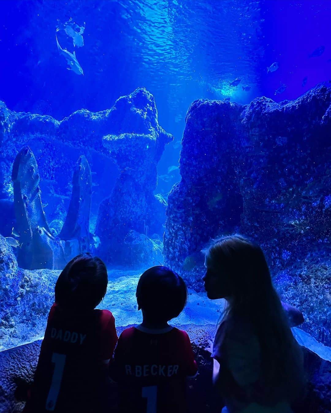 ナタリア・ベッカーのインスタグラム：「Sea Life Adventures 💙🐠🐡🐙🦈💙」