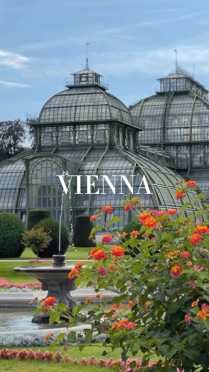 Wien | Viennaのインスタグラム