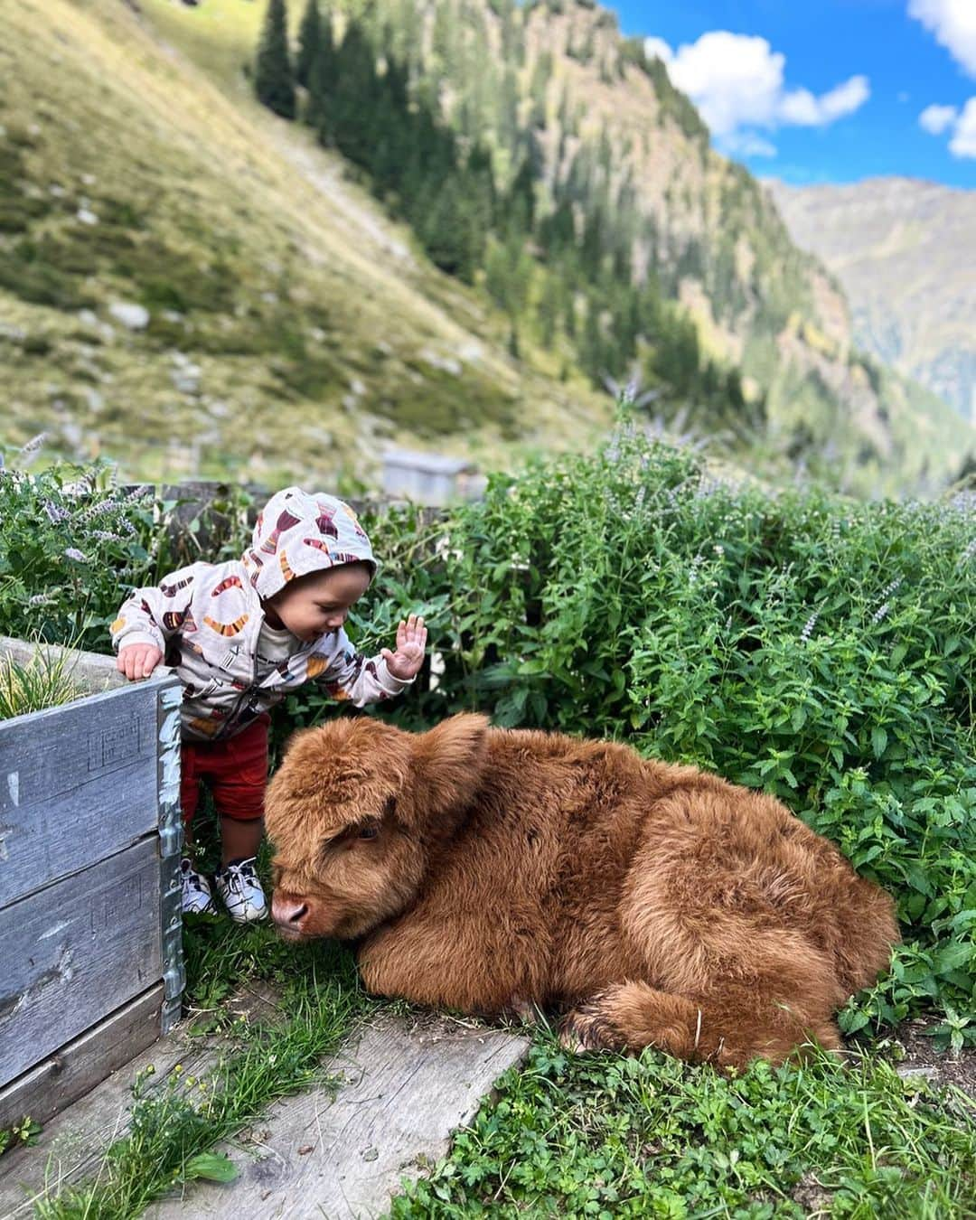 カロル・ブレッサヌッティのインスタグラム：「Due cuccioli❤️ Elia e l’amore per gli animali🥰 .  .  .  #2puppies #mybabyboy #cuteness #animallover #proudmom #loveyousomuch」